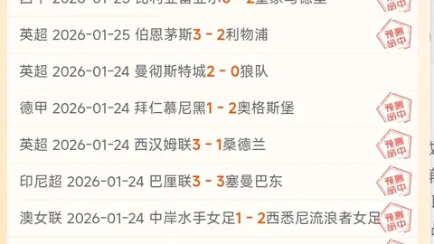 马洛塔对新球场建设质疑，米兰市长强调意甲荣耀优先