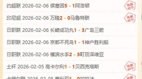 伊万：庆生之际重温足球盛宴之夜